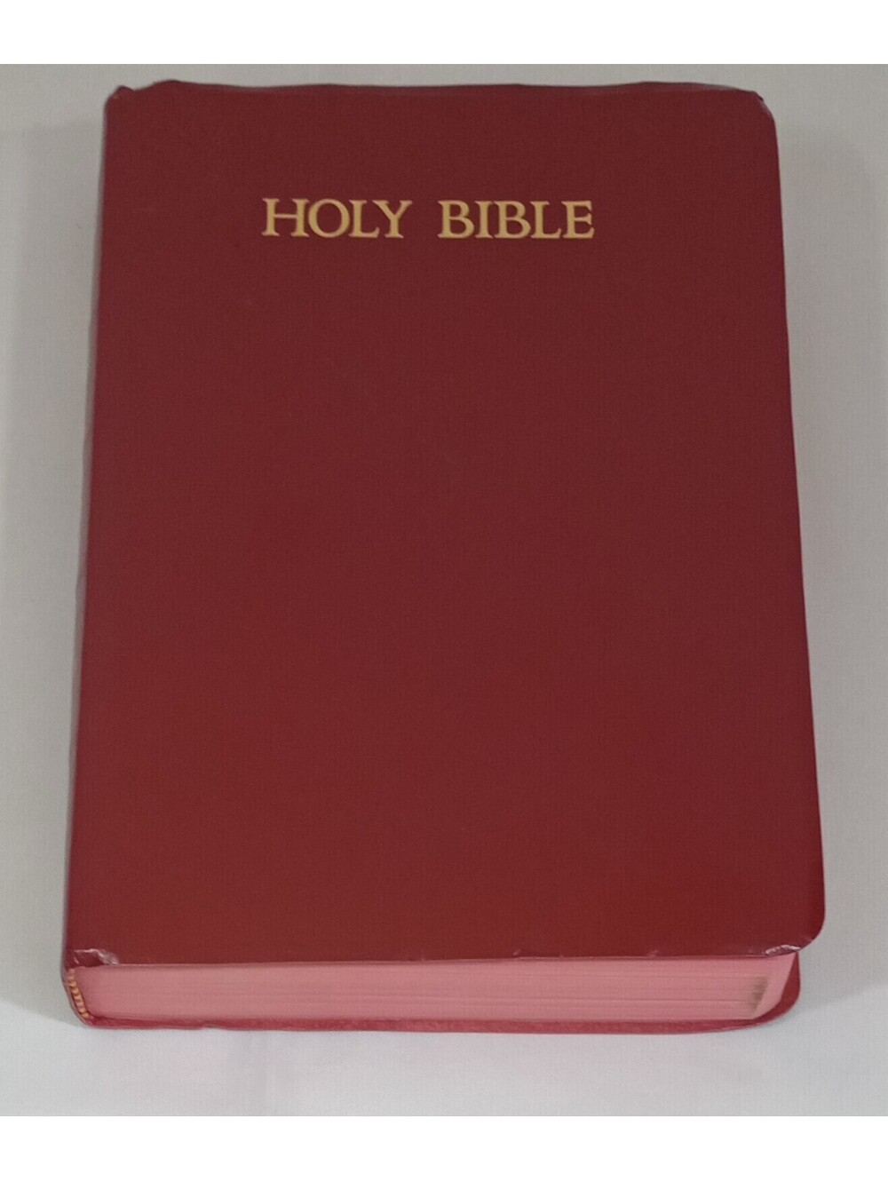 Holy BIBLE King JAME KJV Words CHRIST in Red Dictionary Concordance NELSON 162R